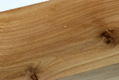 Square Silverberry 310x63x63mm - OelWei0039