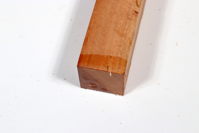 Square Plum Tree 305x30x30mm - Pflau0415