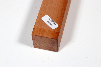 Square Plum Tree 305x35x35mm - Pflau0423