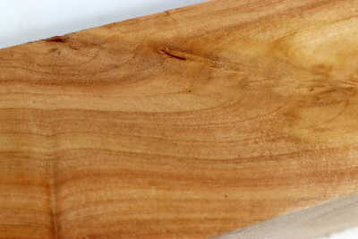 Horse Chestnut 200x50x50mm - Roka0471