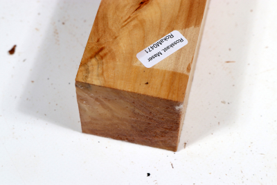 Horse Chestnut 200x50x50mm - Roka0471
