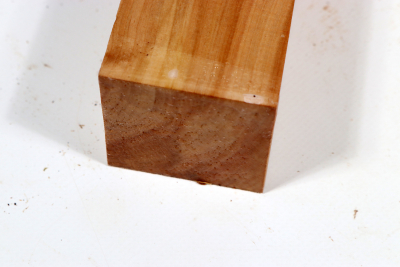 Horse Chestnut 200x50x50mm - Roka0471