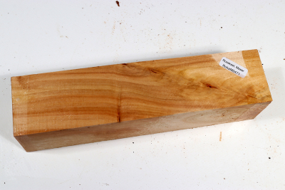 Horse Chestnut 200x50x50mm - Roka0471