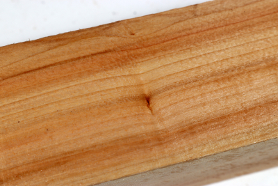 Horse Chestnut 240x50x50mm - Roka0433