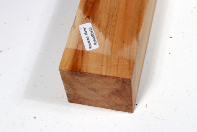 Horse Chestnut 240x50x50mm - Roka0433