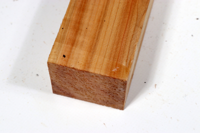 Horse Chestnut 240x50x50mm - Roka0433