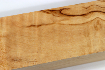 Horse Chestnut 245x65x43mm - Roka0472