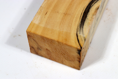 Horse Chestnut 270x52x38mm - Roka0484