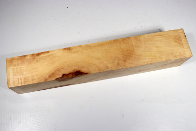 Horse Chestnut 395x70x65mm - Roka0438