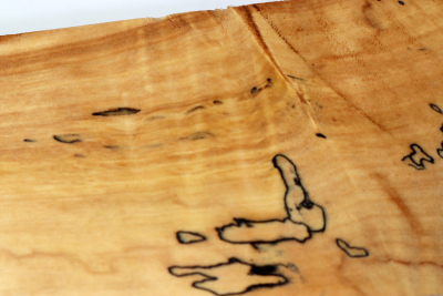 Horse Chestnut 395x70x65mm - Roka0438