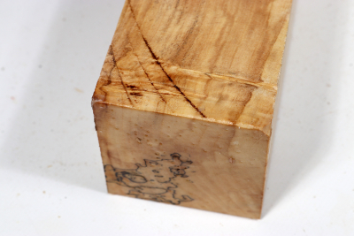 Horse Chestnut 395x70x65mm - Roka0438