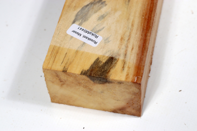 Horse Chestnut 400x65x45mm - Roka0441