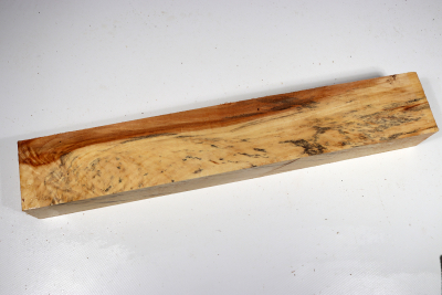 Horse Chestnut 400x65x45mm - Roka0441
