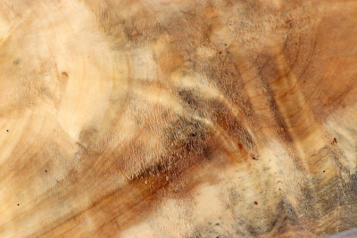 Horse Chestnut Burl 375x105x70mm - Roka0378