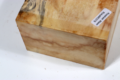 Horse Chestnut Burl 375x105x70mm - Roka0378