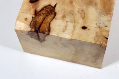 Horse Chestnut Burl 375x105x70mm - Roka0378