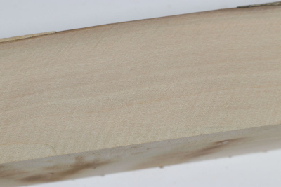 Kantel Stechpalme 255x45x45mm - Ilex0294