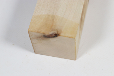 Kantel Stechpalme 260x45x45mm - Ilex0274