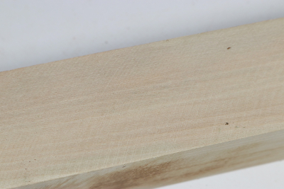 Kantel Stechpalme 285x45x45mm - Ilex0303