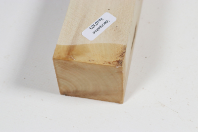 Kantel Stechpalme 285x45x45mm - Ilex0303