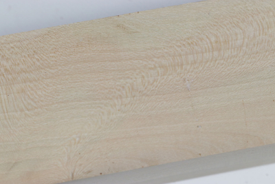 Square Holly 295x55x55mm - Ilex0276