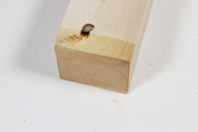 Kantel Stechpalme 310x50x45mm - Ilex0292