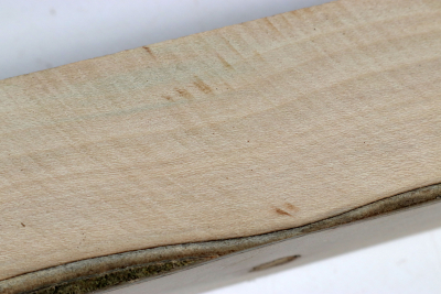 Square Holly 210x45x45mm - Ilex0302