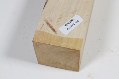 Square Holly 210x45x45mm - Ilex0302