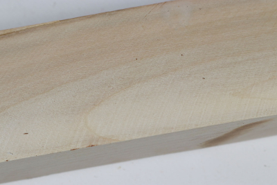 Kantel Stechpalme 315x50x45mm - Ilex0285