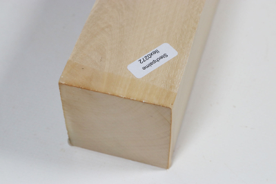 Kantel Stechpalme 450x55x55mm - Ilex0272