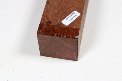 Square Holm Oak 305x50x50mm - SteiEi0426