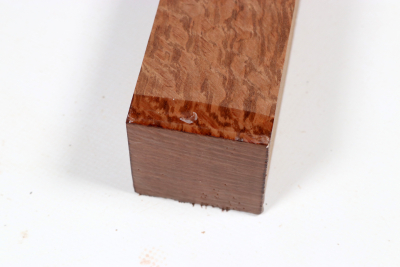 Square Holm Oak 305x50x50mm - SteiEi0426