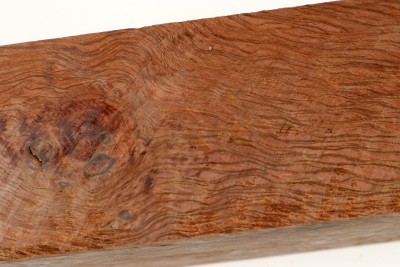 Square Holm Oak 305x55x55mm - SteiEi0442