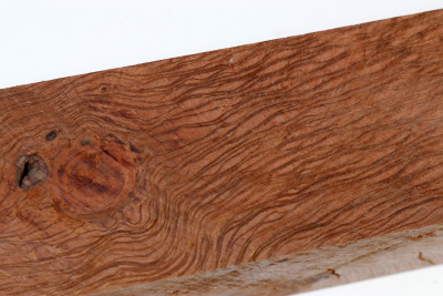 Square Holm Oak 305x55x55mm - SteiEi0444