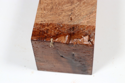 Square Holm Oak 305x60x60mm - SteiEi0425