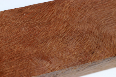 Square Holm Oak 305x60x60mm - SteiEi0443