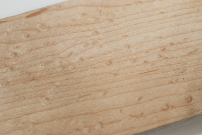 Square Birdseye Maple 305x50x50mm - VogAug0431
