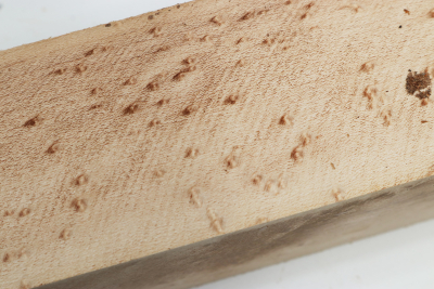 Square Birdseye Maple 305x50x50mm - VogAug0494