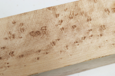 Square Birdseye Maple 305x50x50mm - VogAug0495