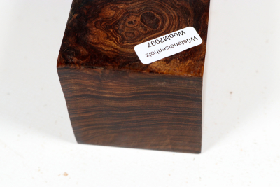 Square Desert Ironwood Burl 230x55x55mm - WueM2097