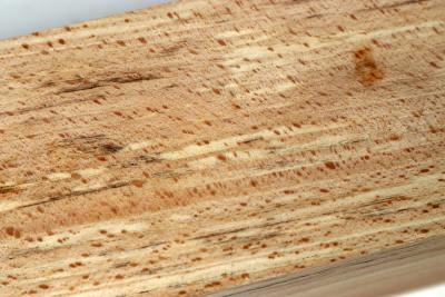 Kantel gestockte Buche 305x65x65mm - GestBu0423