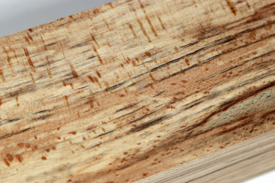 Kantel gestockte Buche 305x65x65mm - GestBu0425