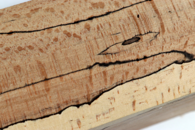 Square Beech spalted 305x65x65mm - GestBu0528