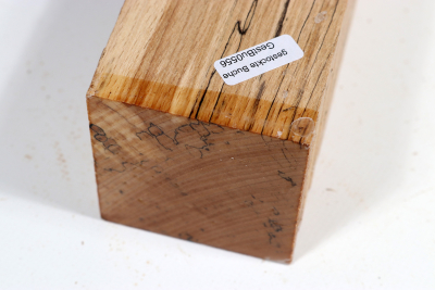 Kantel gestockte Buche 305x65x65mm - GestBu0556