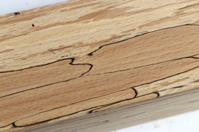 Square Beech spalted 305x65x65mm - GestBu0561