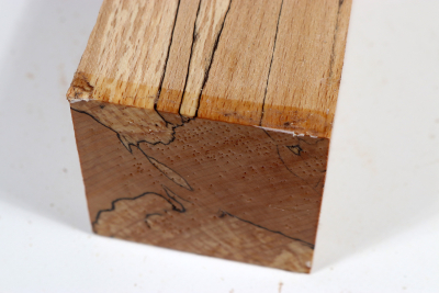 Square Beech spalted 305x65x65mm - GestBu0561