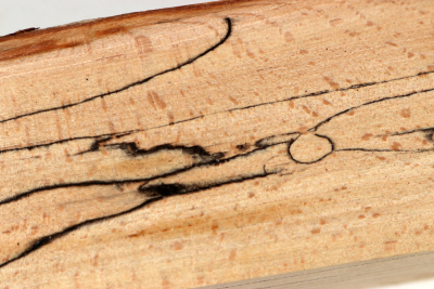 Square Beech spalted 305x65x65mm - GestBu0652