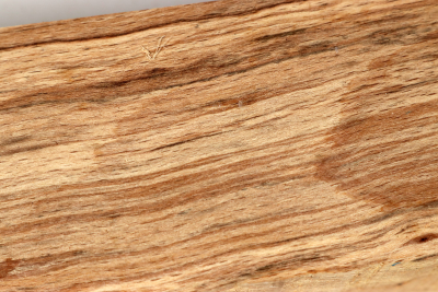 Square Beech spalted 305x65x65mm - GestBu0659