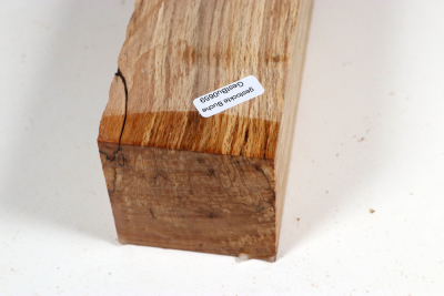 Square Beech spalted 305x65x65mm - GestBu0659