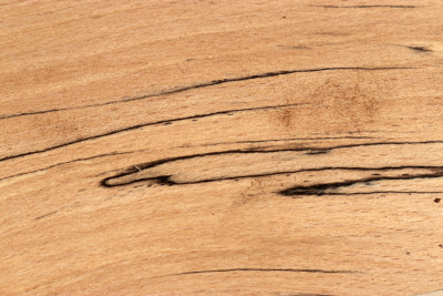 Beech spalted 380x95x50mm - GestBu0668